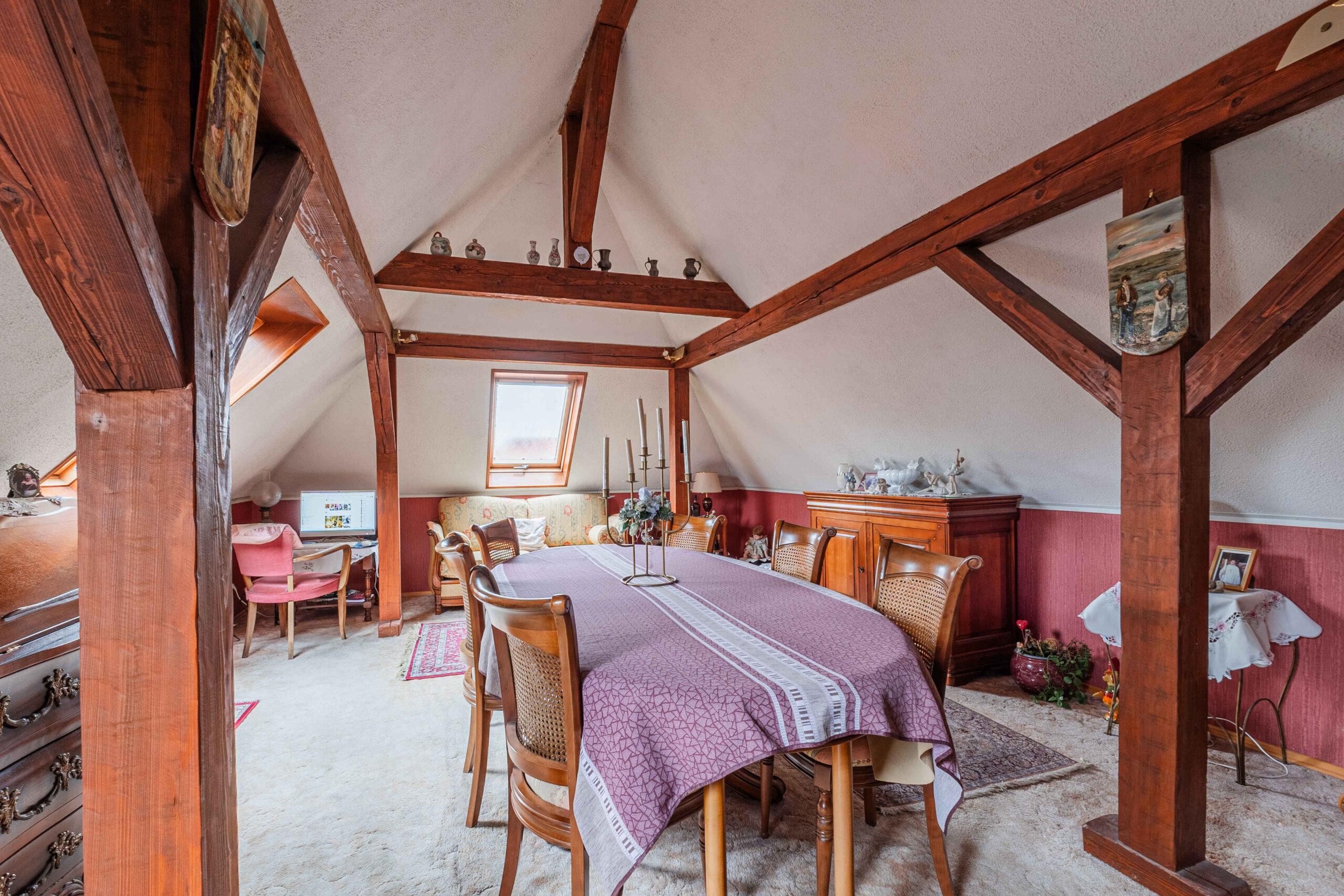 2 Quai du Sable ERSTEIN_110225-6 (2)