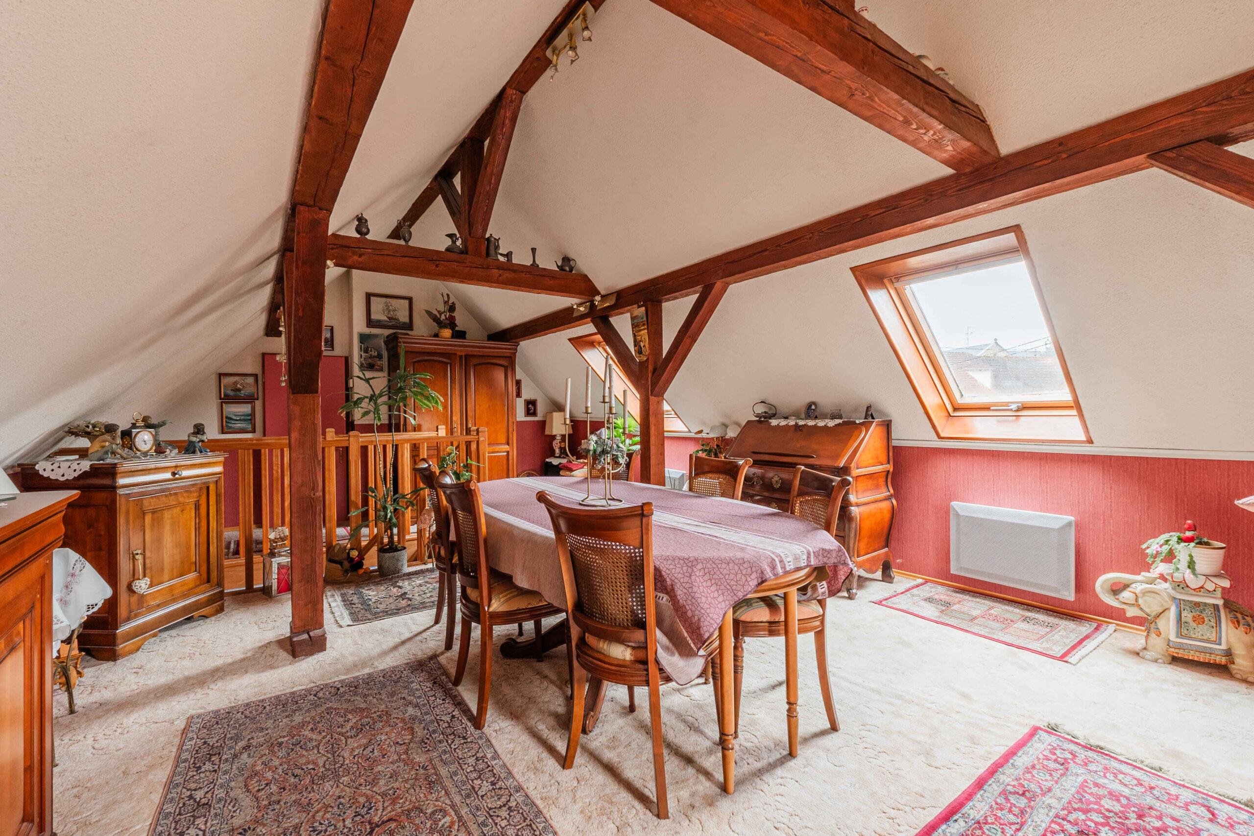 2 Quai du Sable ERSTEIN_110225-7 (2)