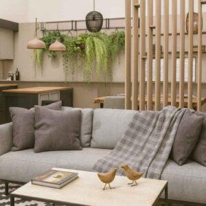 Salon ouvert sur cuisine