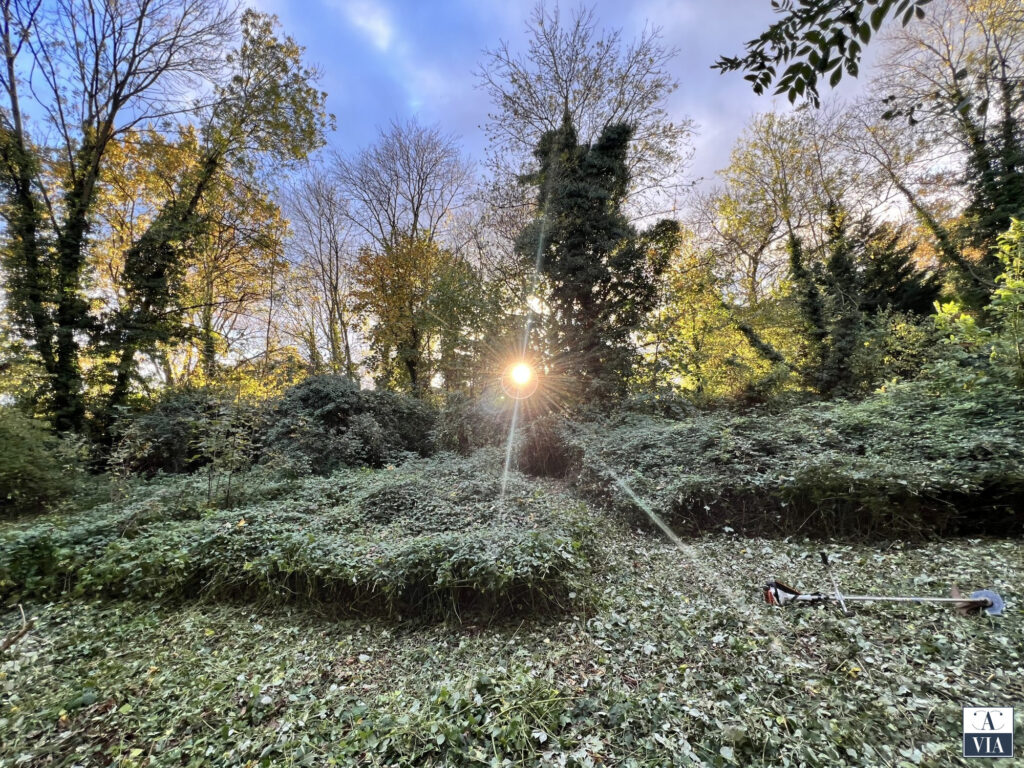 Terrain à vendre Strasbourg