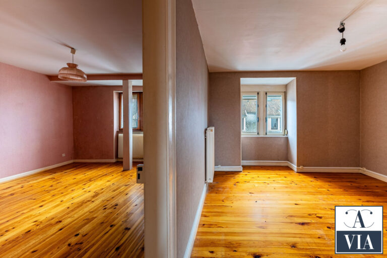 Un appartement 3 pièces au cachet certain avec une vue dégagée sur les toits et la Cathédrale - Neudorf / rue de Thann