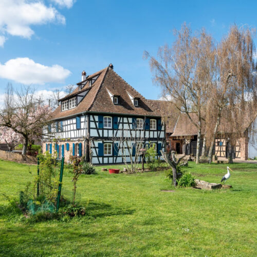 Maison à vendre Berstett
